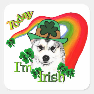 Sticker Carré Alaskan Malamute St. Patrick's Day