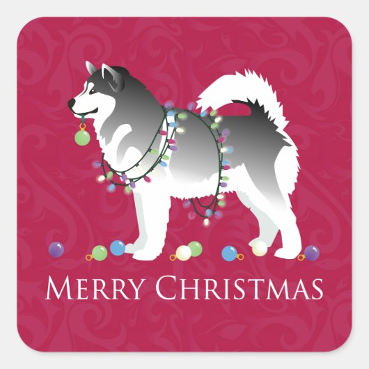Sticker Carré Alaskien Malamute Chien Joyeux Noël Design (Devant)