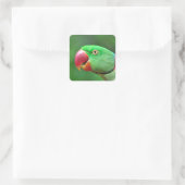 Sticker Carré Alexandrine Parakeet (Sac)
