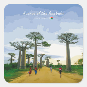 Sticker Carré Allée des Baobabs, Madagascar - Paysage