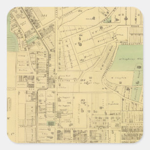 Sticker Carré Allegheny niveau 2