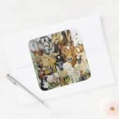 Sticker Carré Allergies animales (Enveloppe)