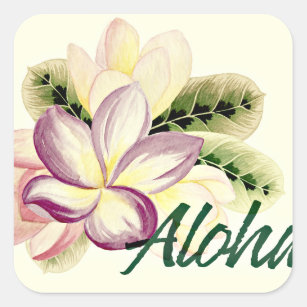 Sticker Carré Aloha Plumeria