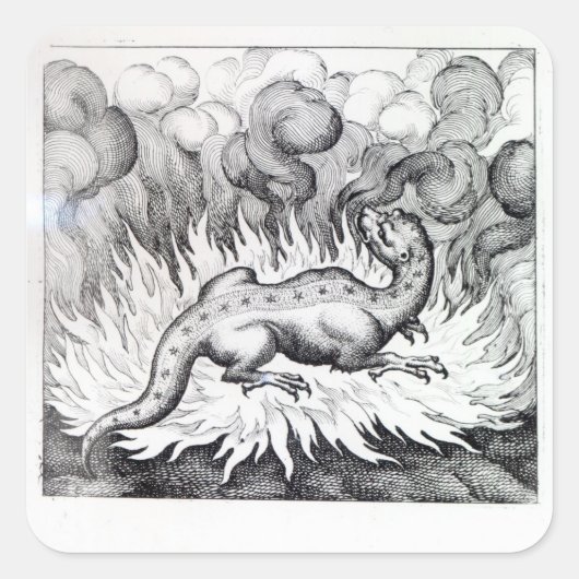 Sticker Carré Alors que la Salamandre vit en feu (Devant)