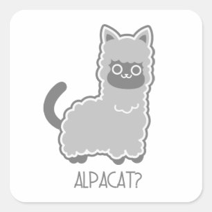 Sticker Carré Alpacat ?