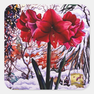 Sticker Carré Amaryllis par la fenêtre de neige