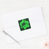 Sticker Carré Amaryllis vert (Enveloppe)