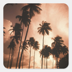 Sticker Carré Ambergris Caye, Belize, Amérique centrale. 2