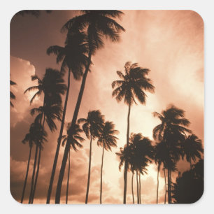 Sticker Carré Ambergris Caye, Belize, Amérique centrale. 2