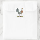 Sticker Carré American Game Hen Silver Blue (Sac)