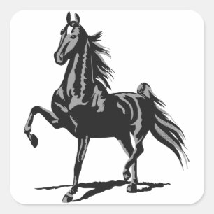 Sticker Carré American Saddlebred