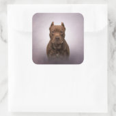 Sticker Carré American Staffordshire Terrier (Sac)