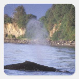 Sticker Carré Amérique du Nord, États-Unis, Alaska, Passage inté