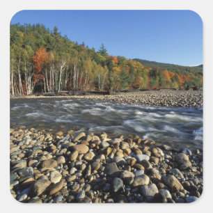 Sticker Carré Amérique du Nord, États-Unis, NH, Une plage de gal
