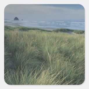 Sticker Carré Amérique du Nord, États-Unis, Oregon, Canon Beach,