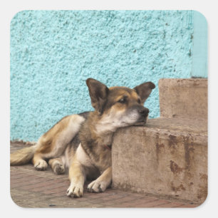 Sticker Carré Amérique du Sud, Chili, Valparaiso. allemand