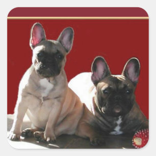 Sticker Carré Amis Bouledogues Français French Bulldog
