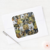 Sticker Carré Amis de chien (Enveloppe)