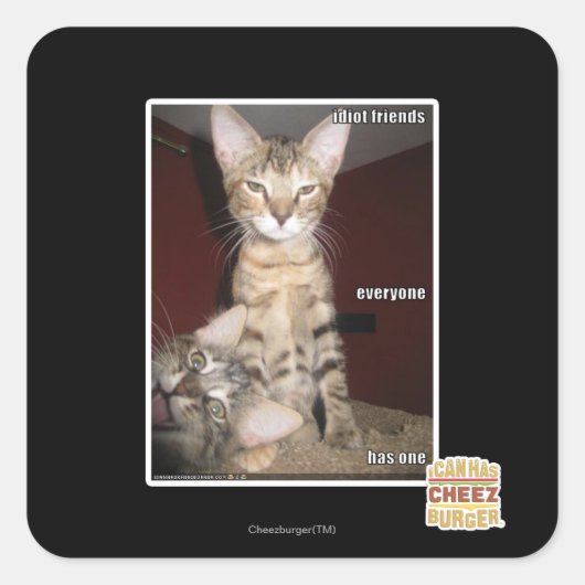 Sticker Carré Amis Idiot (Devant)