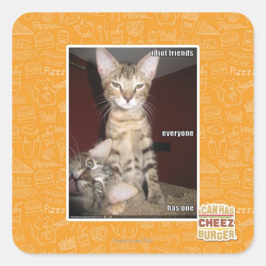 Sticker Carré Amis Idiot (Devant)