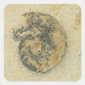 Sticker Carré Ammonite allemande avec Dendrites (Devant)