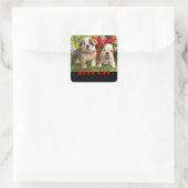 Sticker Carré Amour Anglais Chien Chien Chien Chien Chien Sticke (Sac)