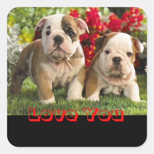 Sticker Carré Amour Anglais Chien Chien Chien Chien Chien Sticke (Devant)