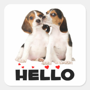 Sticker Carré Amour de chiot Beagle mignon Bonjour Je pense à vo