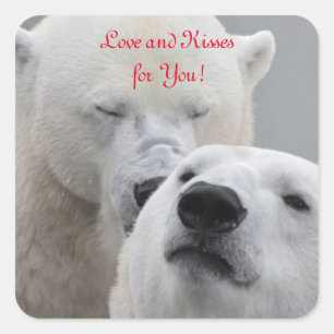 Sticker Carré Amour d'ours blancs