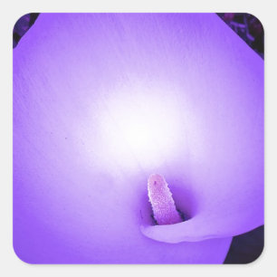 Sticker Carré Amour Lumière, Lilie_