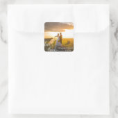 Sticker Carré AMOUR & MERCI Personnalisés Script blanc | PHOTO (Sac)