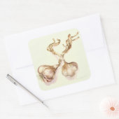 Sticker Carré Ampoules d'ail 2005 (Enveloppe)