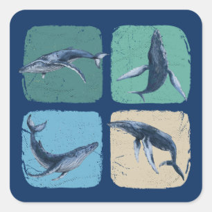 Sticker Carré Amusante observation des baleines à bosse