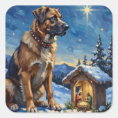 Sticker Carré Anatolian Shepherd Dog Guarding Nativity Scene (Devant)