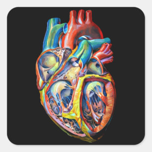 Sticker Carré anatomie cardiaque humaine colorée art abstrait