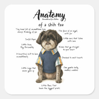 Sticker Carré Anatomie d'un amour inconditionnel d'un Shihtzu Ed