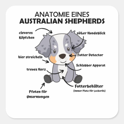 Sticker Carré Anatomie D'Un Berger Australien Chiens Doux (Devant)