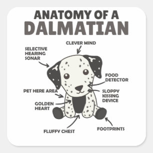 Sticker Carré Anatomie D'Un Chien Doux Dalmatien Chien Drôle Chi
