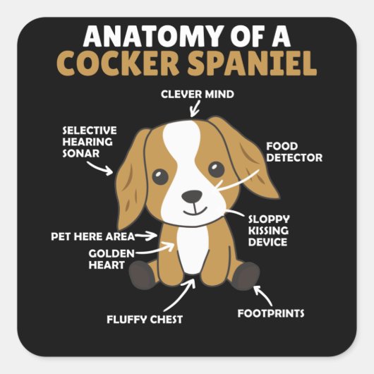 Sticker Carré Anatomie D'Un Cocker Spaniel Cute Chiens Chiot (Devant)