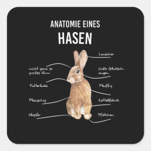 Sticker Carré Anatomie D'Un Lapin Lapin De Lapin De Lièvre