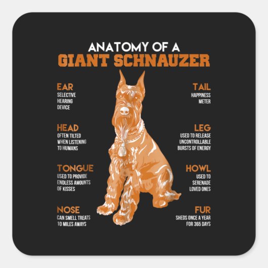 Sticker Carré Anatomie D'Un Schnauzer Géant Chiens Drôle Cadeau  (Devant)