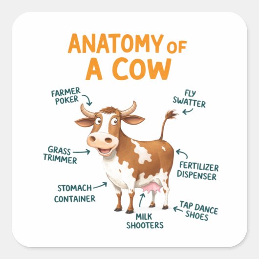 Sticker Carré Anatomy of a Cow | Funny Doctor Day (Devant)