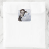 Sticker Carré Âne lucide (Sac)