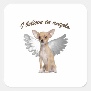 Sticker Carré Angel Chihuahua