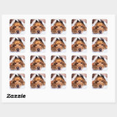 Sticker Carré Anglais Cocker Spaniel Chien (Feuille)