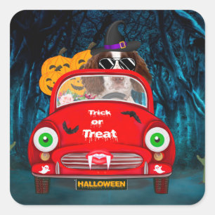 Sticker Carré Anglais Springer Spaniel chien Voiture Effrayant H