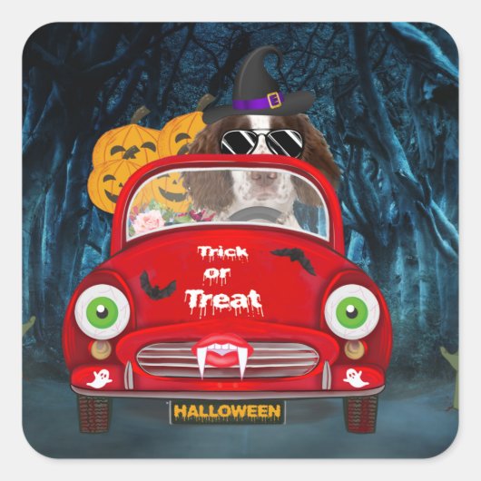 Sticker Carré Anglais Springer Spaniel chien Voiture Effrayant H (Devant)