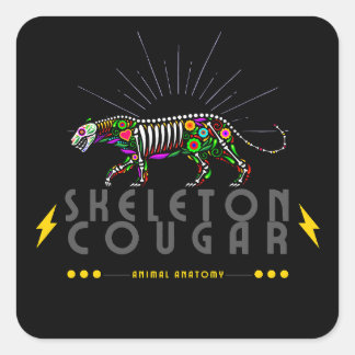 Sticker Carré Animal anatomy animal skeleton
