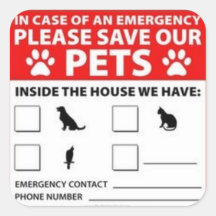 Animal familier à l'intérieur d'alerte