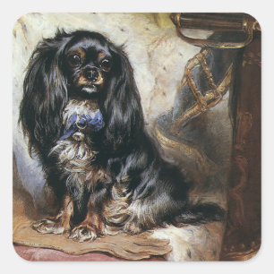 Sticker Carré Animaux de compagnie vintage, chiot épagneul jouet